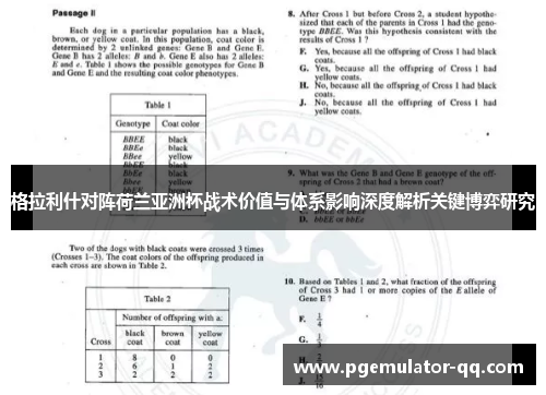 格拉利什对阵荷兰亚洲杯战术价值与体系影响深度解析关键博弈研究