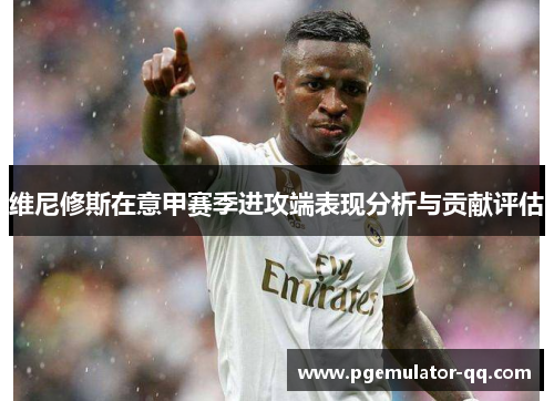 维尼修斯在意甲赛季进攻端表现分析与贡献评估